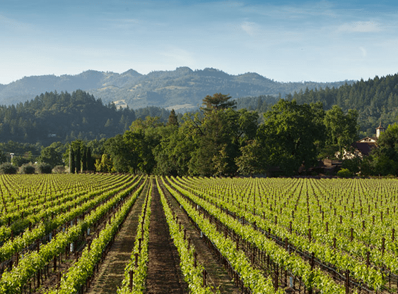 Napa Valley Geography