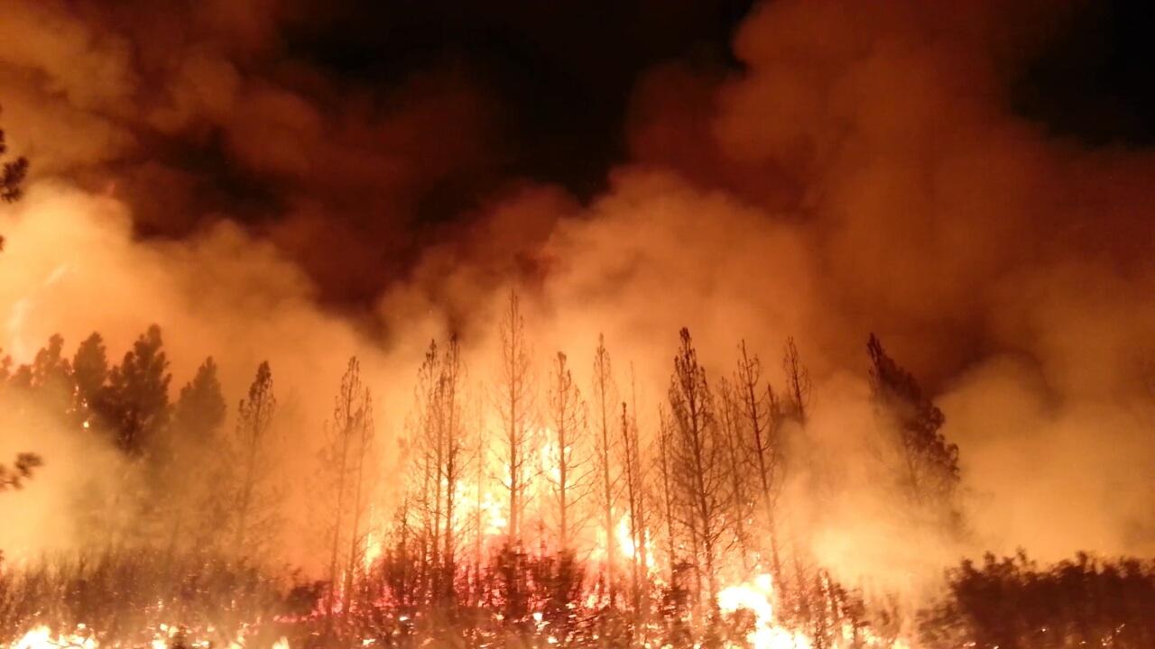 The Rim Fire in Stanislaus National Forest