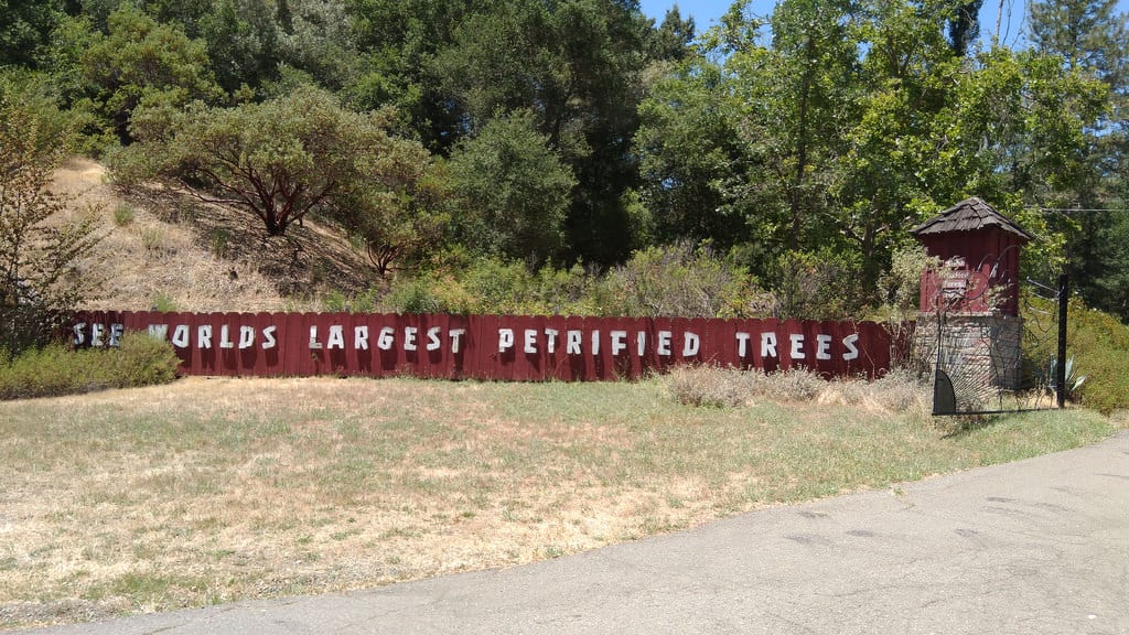 Sign that reads "SEE WORLDS LARGEST PETRIFIED TREES"
